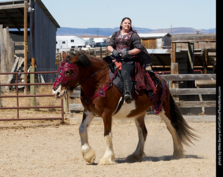 Order of Epona