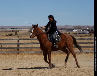 Order of Epona