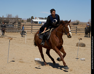 Order of Epona