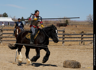 Order of Epona