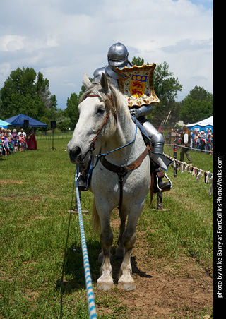 CMF 2023 - Knights of Mayhem