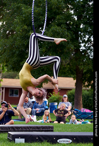 Evolution Circus