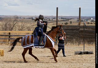 Order of Epona