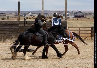 Order of Epona