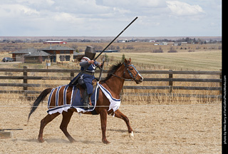 Order of Epona