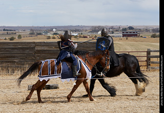 Order of Epona