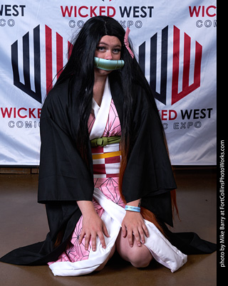 Wicked West Comic Expo 2024