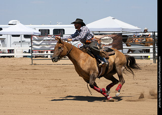 Regulators at the Larimer County Fair 2024
