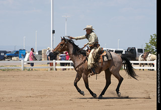 Regulators at the Larimer County Fair 2024