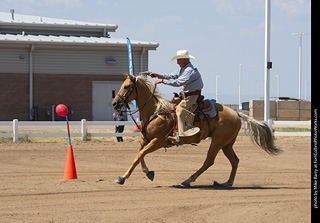 Regulators at the Larimer County Fair 2024
