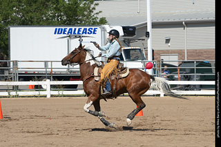 Regulators at the Larimer County Fair 2024