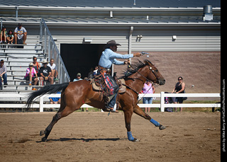 Regulators at the Larimer County Fair 2024