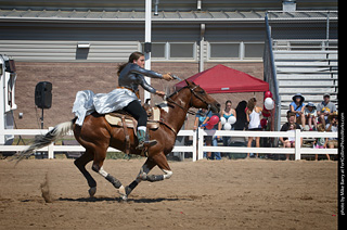 Regulators at the Larimer County Fair 2024