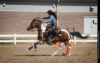 Regulators at the Larimer County Fair 2024