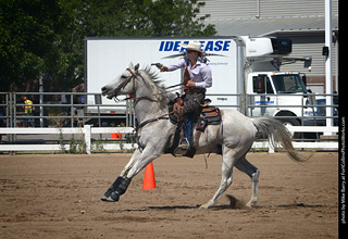 Regulators at the Larimer County Fair 2024