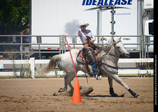 Regulators at the Larimer County Fair 2024