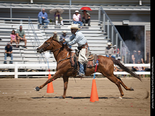 Regulators at the Larimer County Fair 2024
