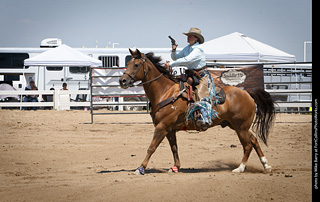 Regulators at the Larimer County Fair 2024