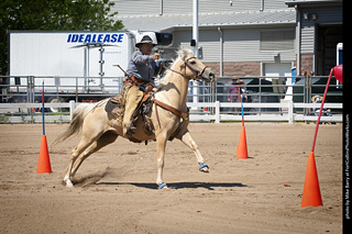 Regulators at the Larimer County Fair 2024