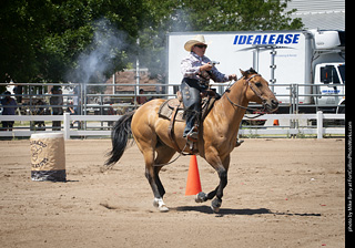 Regulators at the Larimer County Fair 2024