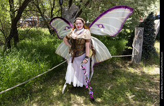 Colorado Medieval Festival 2026