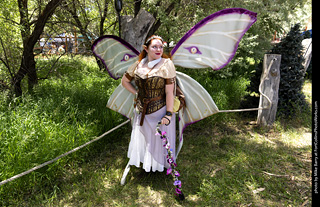 Colorado Medieval Festival 2026
