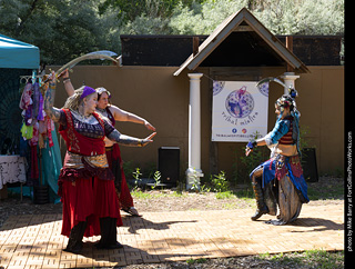 Colorado Medieval Festival 2026