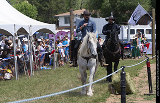 Colorado Medieval Festival 2026
