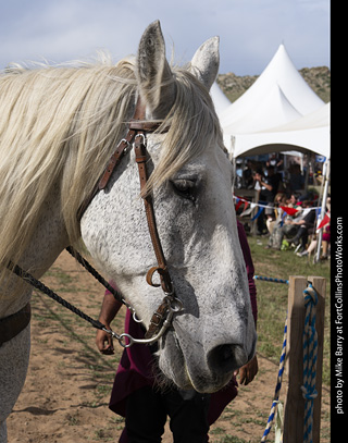 Colorado Medieval Festival 2026