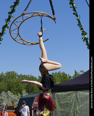 Colorado Medieval Festival 2026