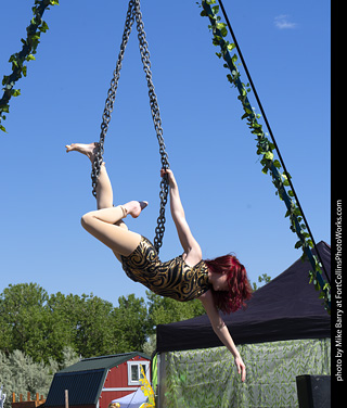 Colorado Medieval Festival 2026