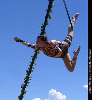 Colorado Medieval Festival 2026